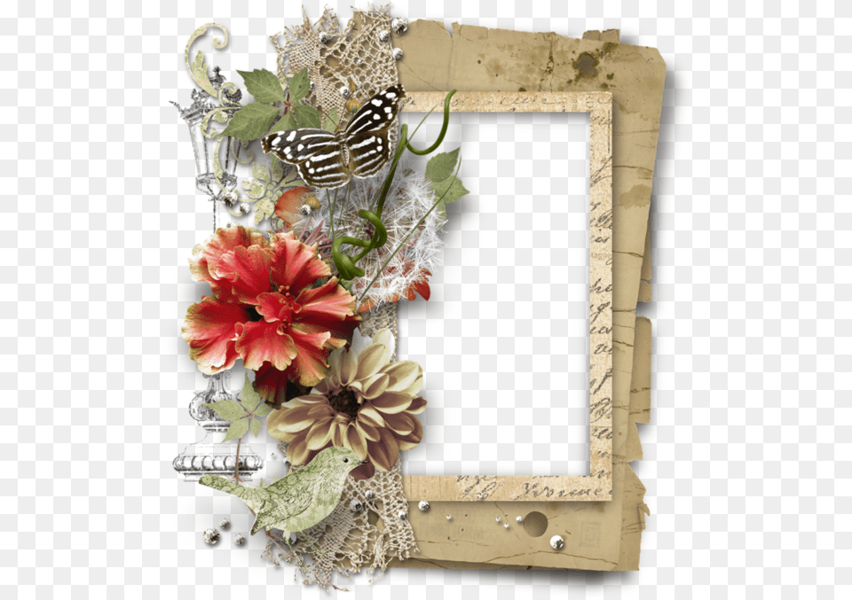 Collage Frames Mixed Media Collage Paper Frames, Plant, Flower Bouquet, Flower Arrangement, Flower Free Transparent Png