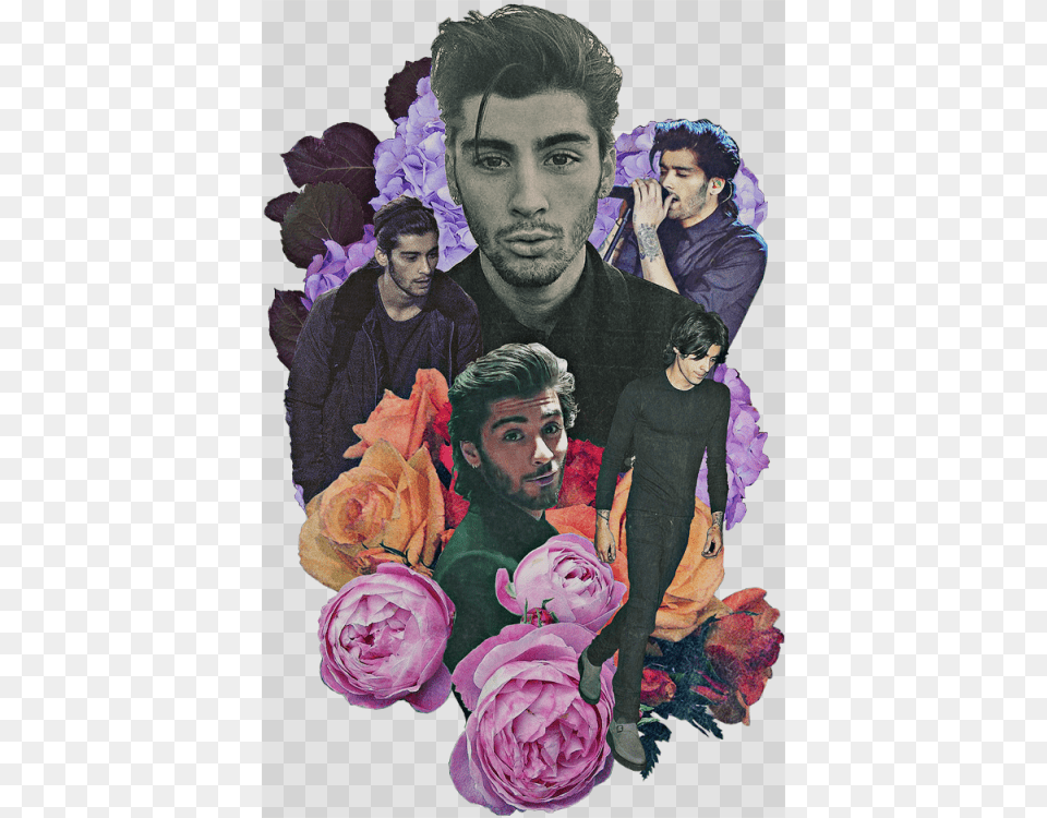 Collage Tumblr Zayn Malik, Rose, Art, Plant, Flower Png Image