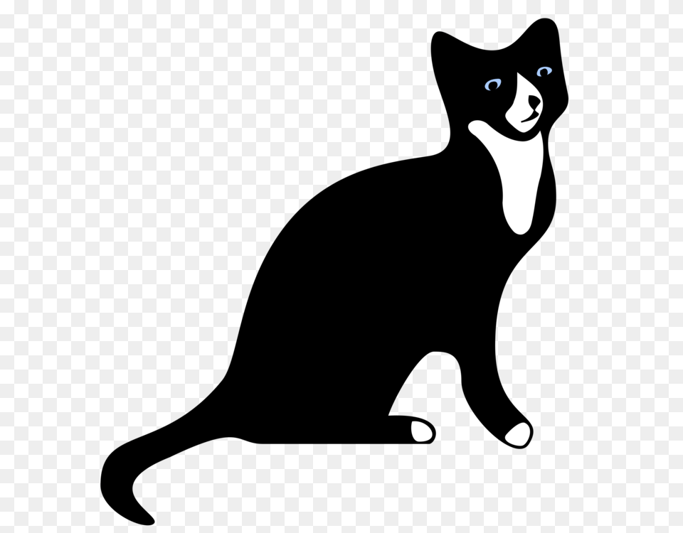 Collar Snowshoe Cat Kitten Black Cat Mouse, Stencil, Animal, Bear, Mammal Free Png Download