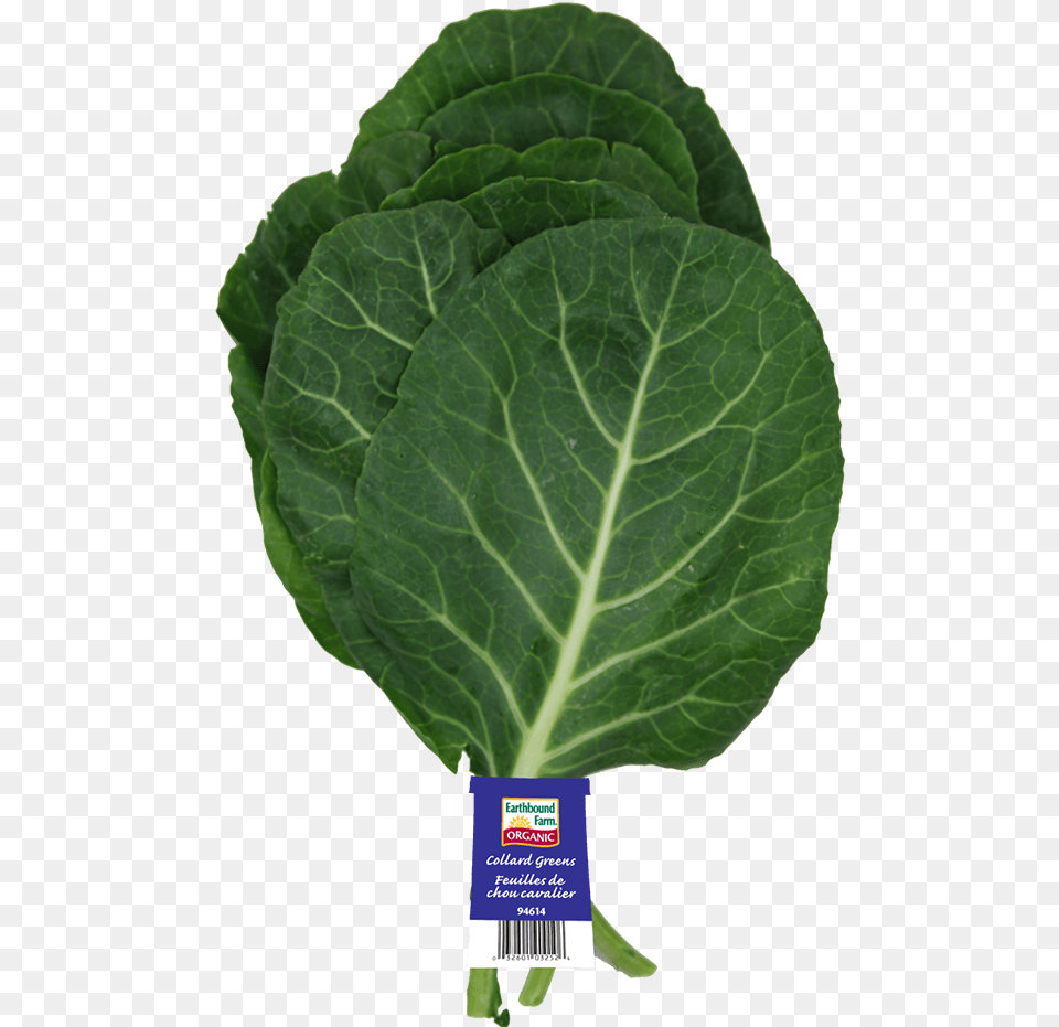 Collard Greens, Plant, Food, Leafy Green Vegetable, Produce Png Image