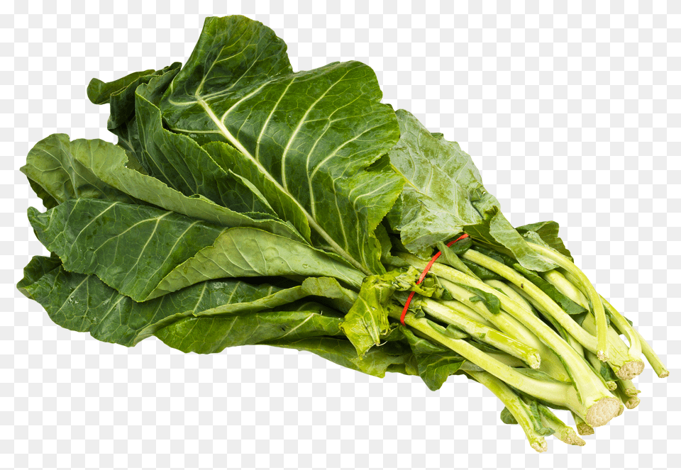 Collard Greens Bundle Image, Plant, Food, Produce, Leafy Green Vegetable Png