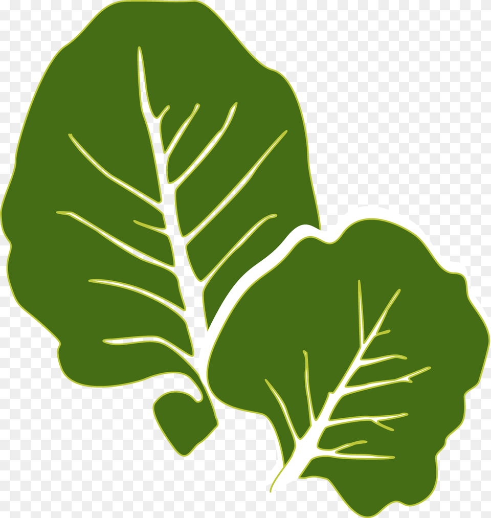 Collards Clipart Transparent, Leaf, Plant, Food, Produce Free Png