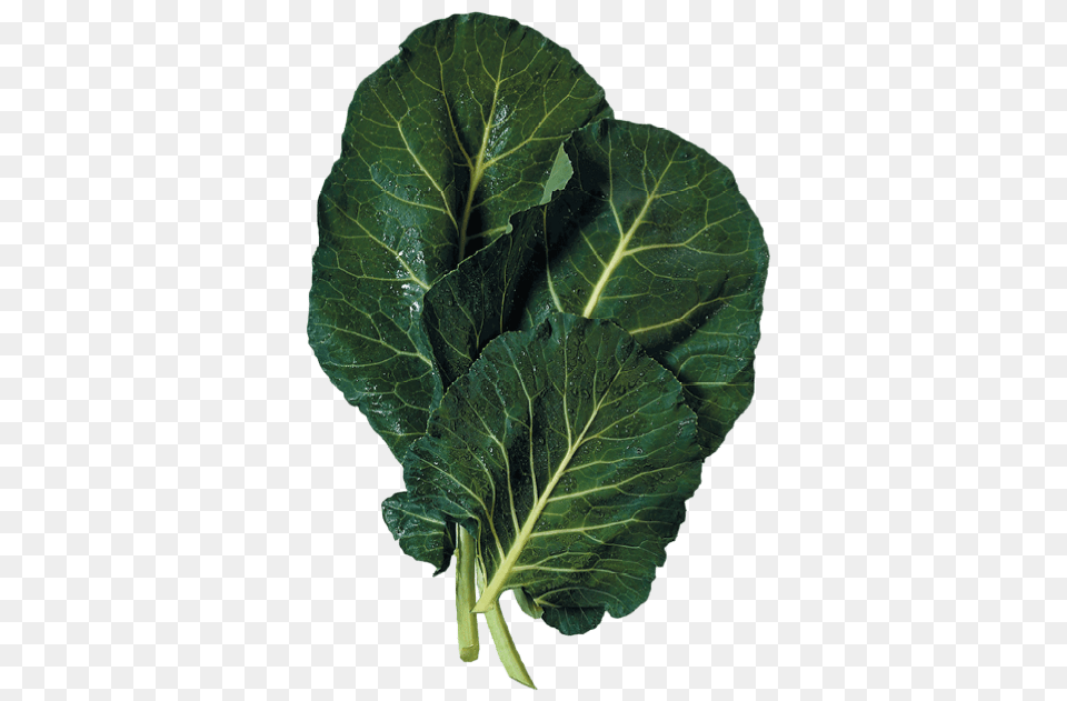 Collards Collard Greens, Food, Plant, Produce, Leafy Green Vegetable Free Transparent Png