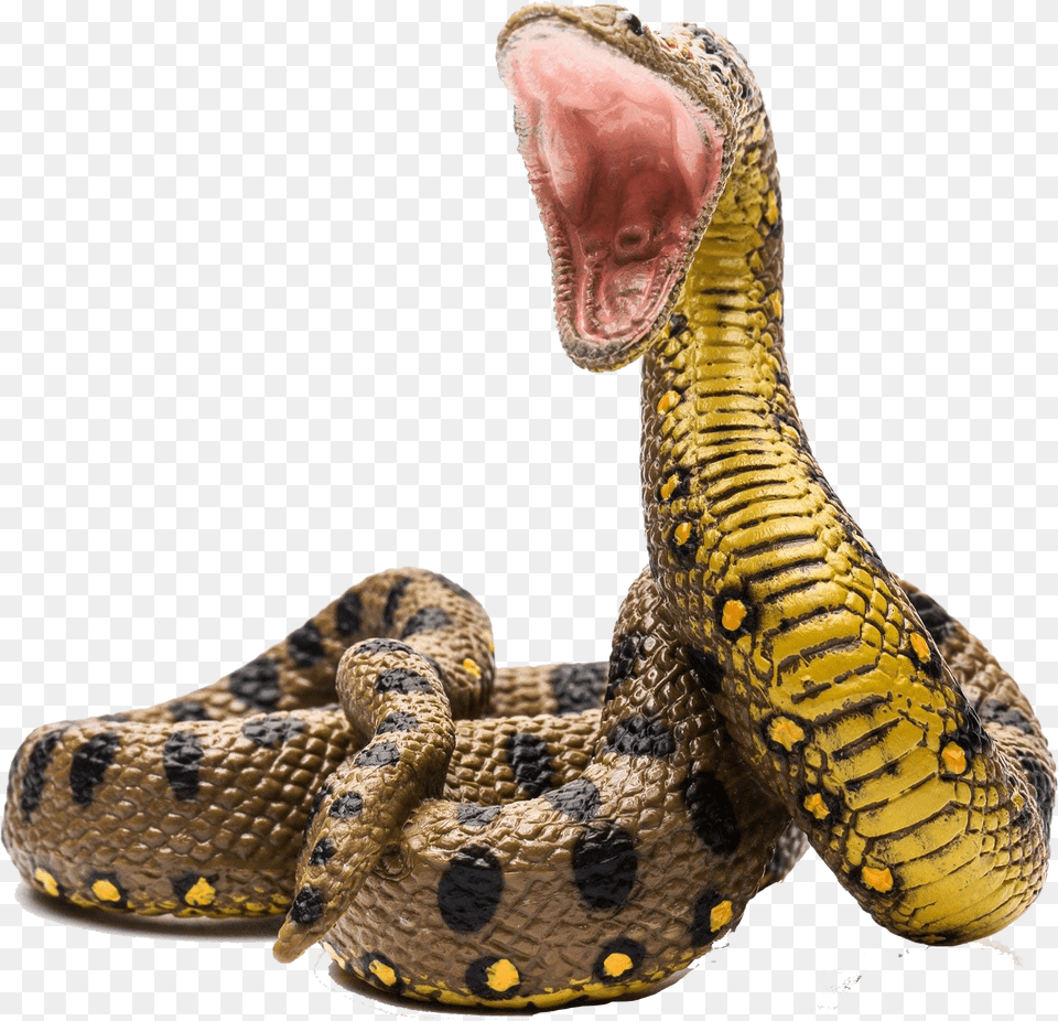 Collecta Green Anaconda, Animal, Reptile, Snake Free Transparent Png