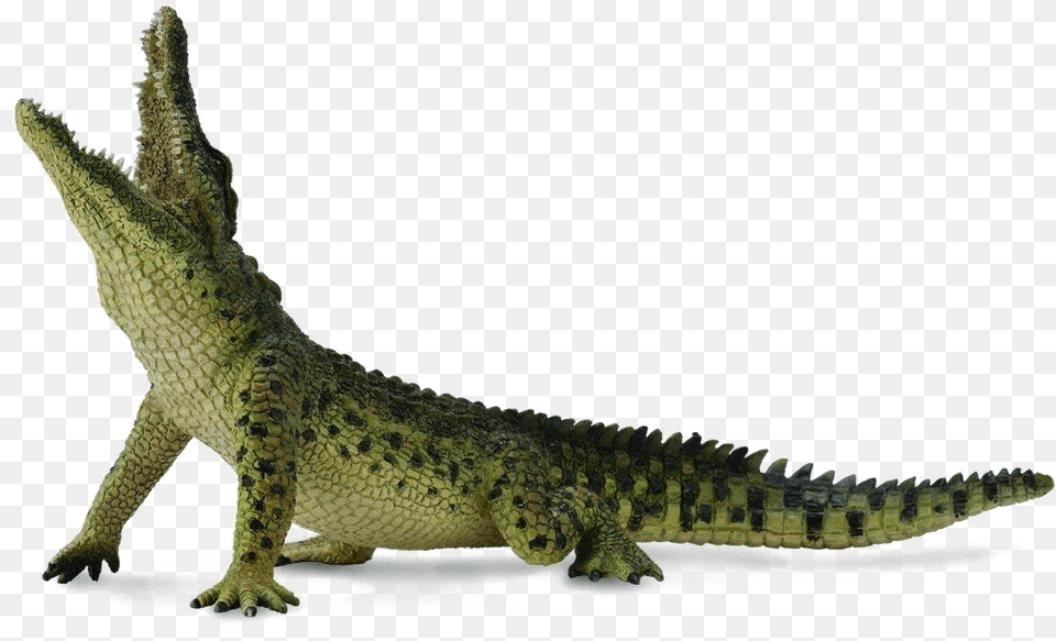 Collecta Nile Crocodile, Animal, Lizard, Reptile Free Transparent Png