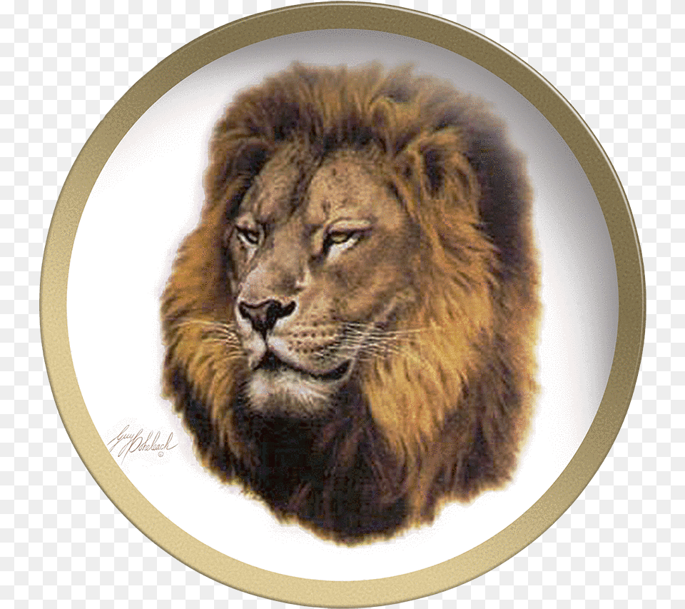 Collectable Plate By Guy Coheleach Lion Head Coffee Lion, Animal, Mammal, Wildlife Free Png