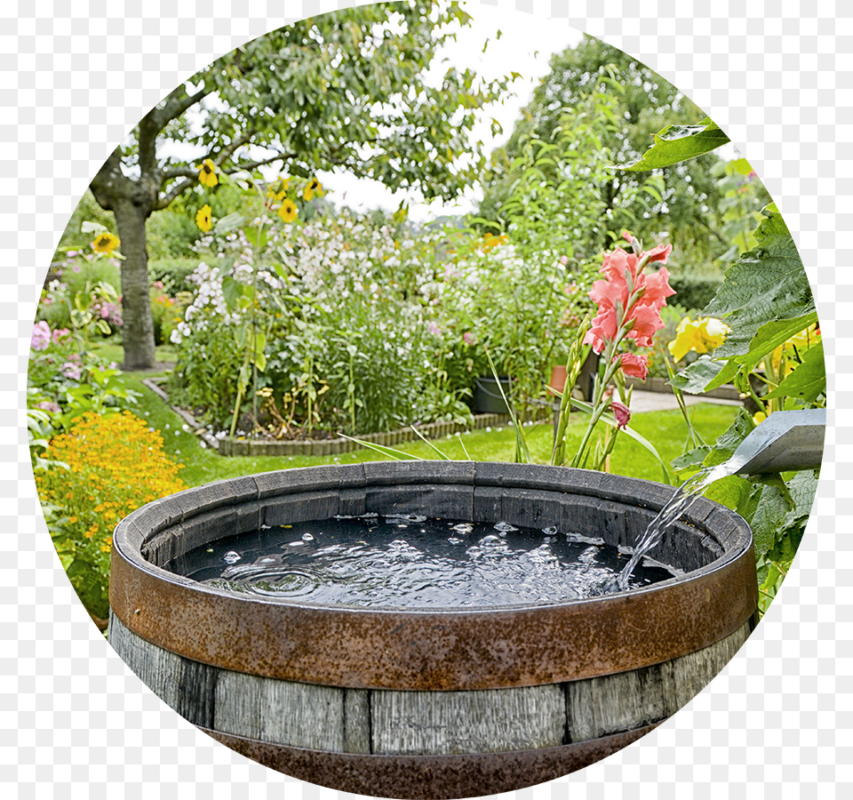 Collecting Rain Water Collecting Rainwater, Garden, Nature, Outdoors, Hot Tub Free Png Download