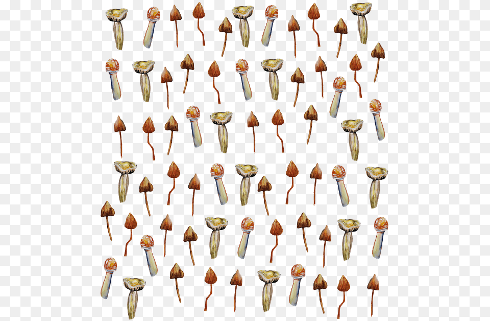 Collection, Cutlery, Chandelier, Lamp, Spoon Free Png