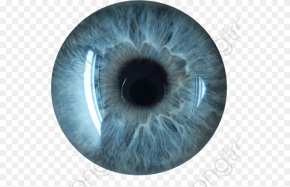 Collection Bead Transparent Clipart, Contact Lens Free Png