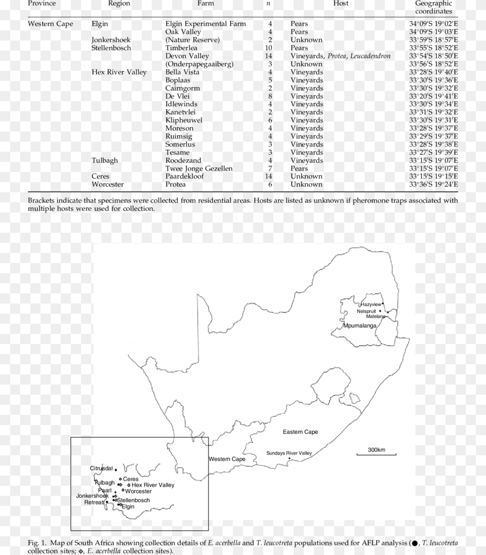 Collection Details Of E Line Art, Chart, Plot, Map, Atlas Png