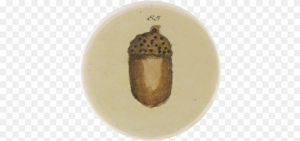Collection Name Earthenware, Food, Grain, Nut, Plant Free Png Download