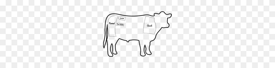 Collection Of Angus Cow Drawing Them And Try To Solve, Gray Free Transparent Png