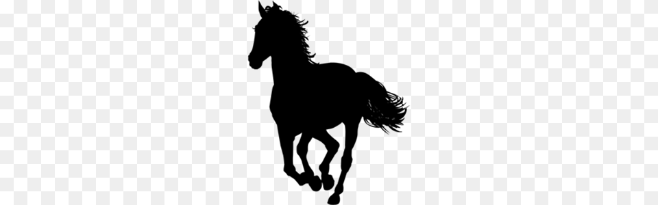 Collection Of Arabian Horse Silhouette Download Them And Try, Gray Free Png