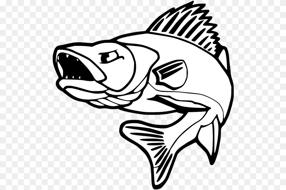 Collection Of Bass Drawing Walleye Download On Walleye Fishing, Stencil, Baby, Person, Animal Png Image