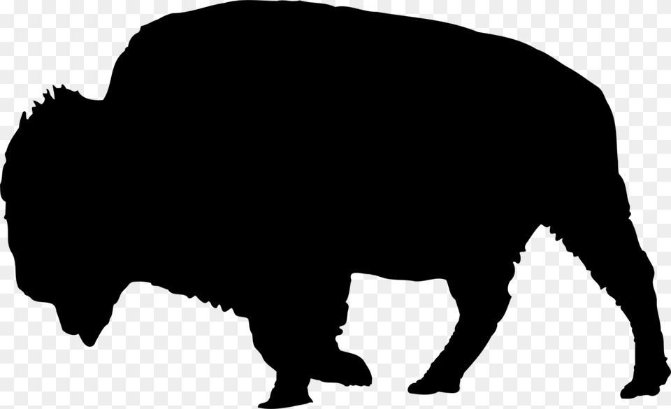 Collection Of Buffalo Silhouette Clip Art Them, Gray Png Image