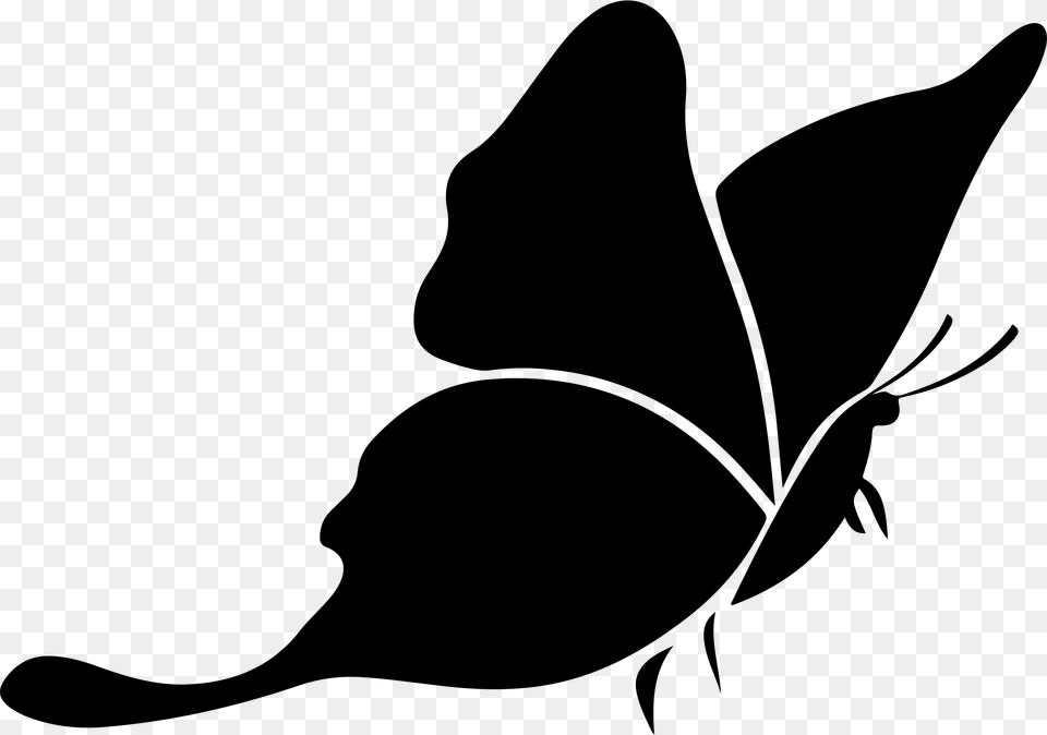 Collection Of Butterfly Silhouette Clip Art Them, Gray Free Transparent Png
