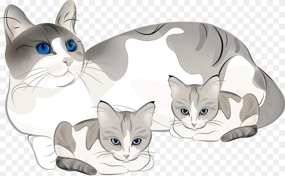 Collection Of Cat And Kitten Clipart 2012, Animal, Mammal, Pet, Art Free Transparent Png
