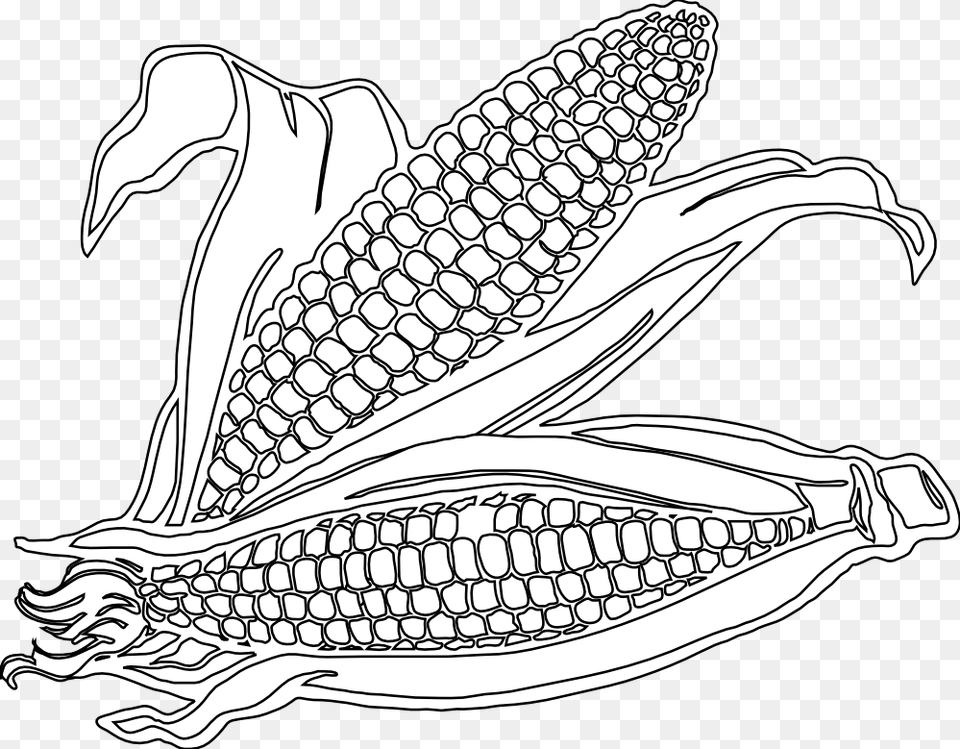 Collection Of Corn Drawing Corn Clipart Black And White, Food, Grain, Plant, Produce Png