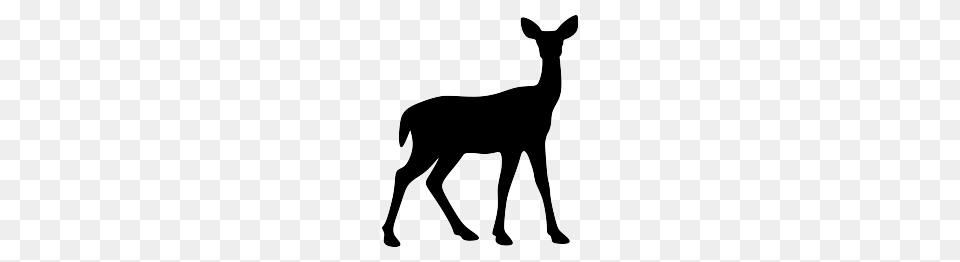 Collection Of Deer And Doe Silhouette Them And Try To Solve, Animal, Mammal, Wildlife, Kangaroo Free Png