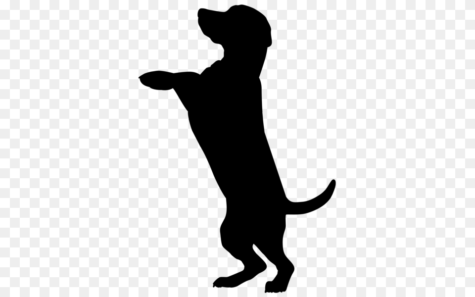 Collection Of Dog Silhouette Clip Art Download Them And Try, Gray Png