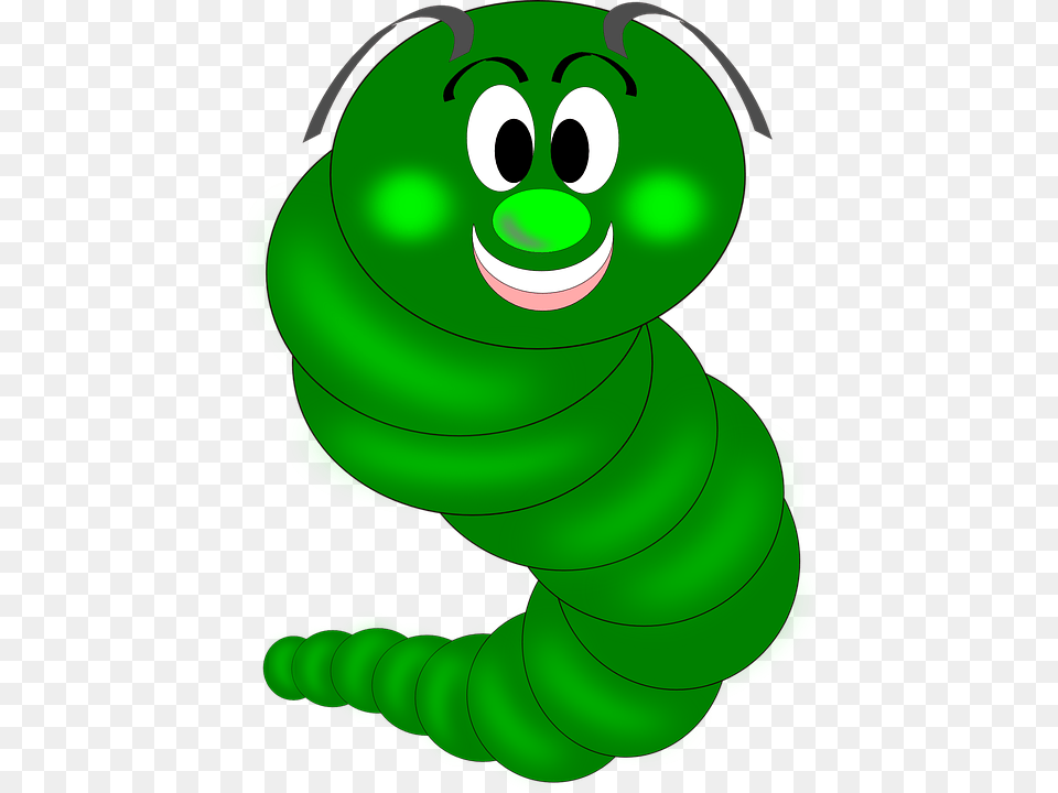 Collection Of Erucae Caterpillar On Glow Worm Clipart, Green, Animal Free Png Download