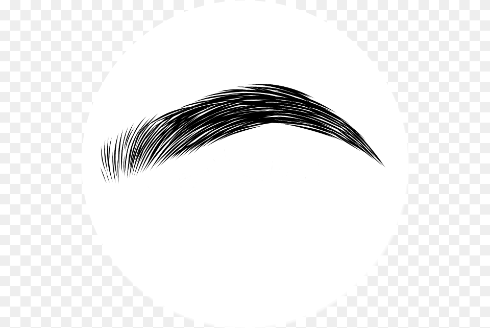 Collection Of Eyebrows Eyebrows, Face, Head, Mustache, Person Png Image