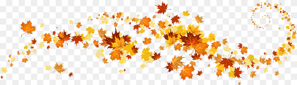Collection Of Falling Leaves High Fall Clipart, Leaf, Plant, Tree, Maple Free Png