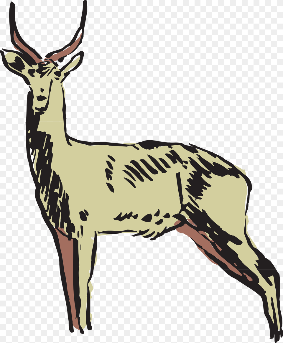 Collection Of Antelope Drawing Gazelle Animals Clipart, Animal, Deer, Mammal, Wildlife Free Png