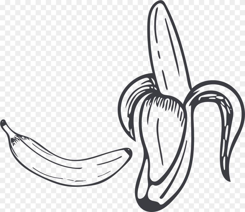 Collection Of Contour Drawing Banana Black And White Banana, Food, Fruit, Plant, Produce Free Png Download