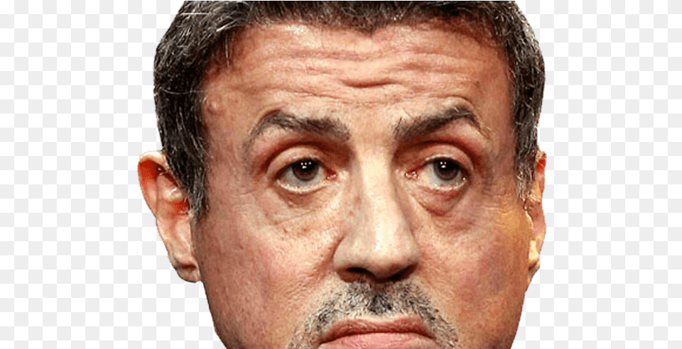 Collection Of Face Transparent Human Download Sylvester Stallone Head, Adult, Portrait, Photography, Person Free Png