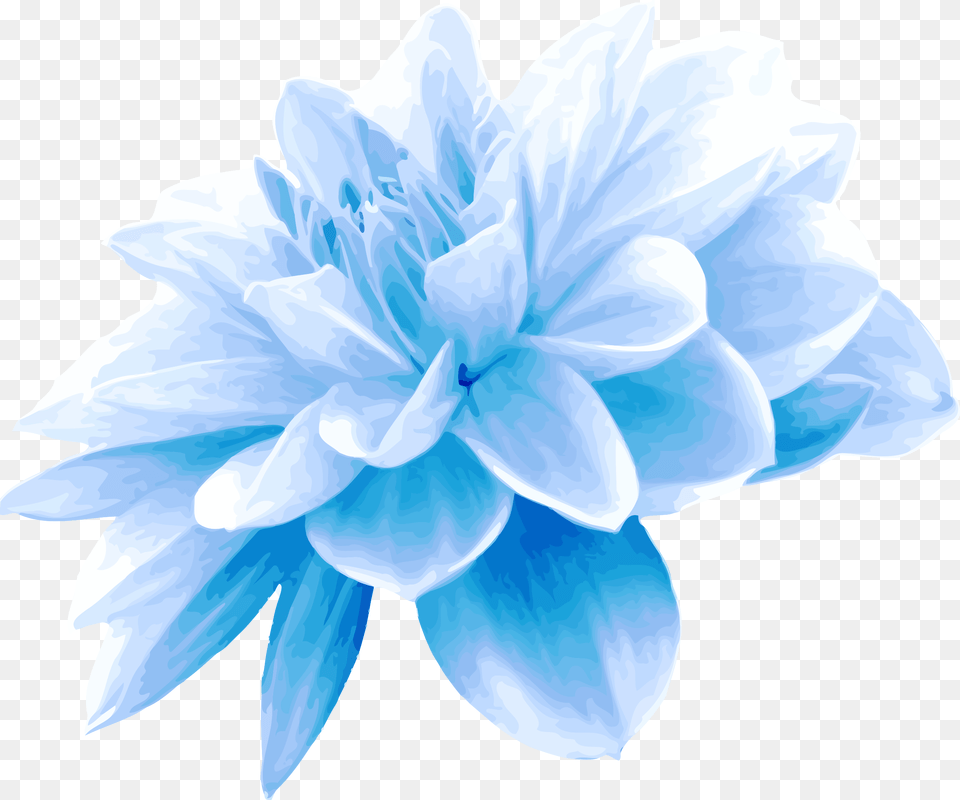 Collection Of Flower Transpa Blue On Ubisafe Light Blue Flowers, Dahlia, Plant Free Transparent Png