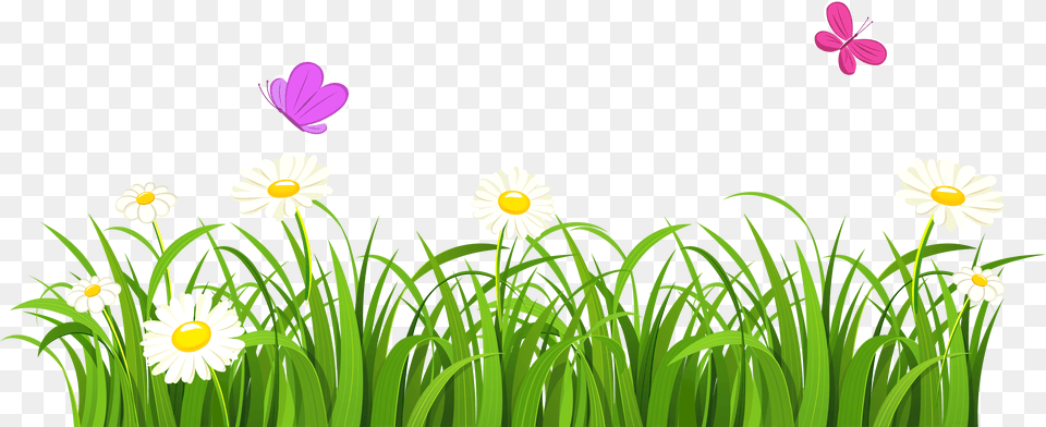Collection Of Vector Bush Grass African Clipart Grass With Flowers, Daisy, Flower, Petal, Plant Free Png Download