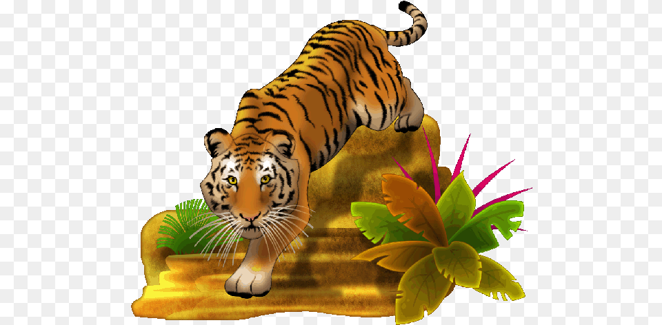 Collection Of Full Hd Tiger, Animal, Mammal, Wildlife Png Image