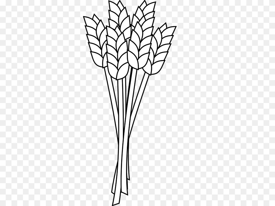 Collection Of Grain Drawing Them And Try To Solve, Stencil, Art, Plant Free Png Download