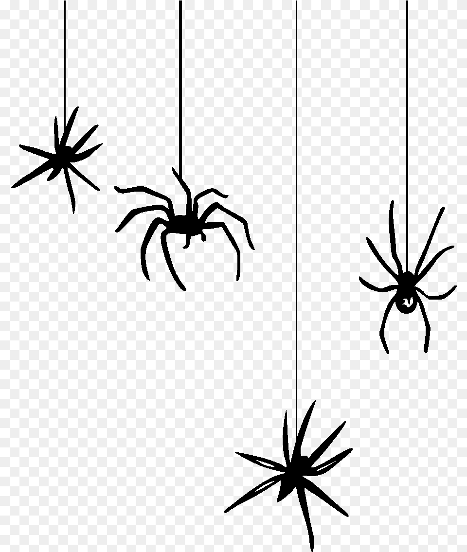 Collection Of Halloween Hanging Spider Clipart Hanging Spider Transparent, Gray Free Png Download