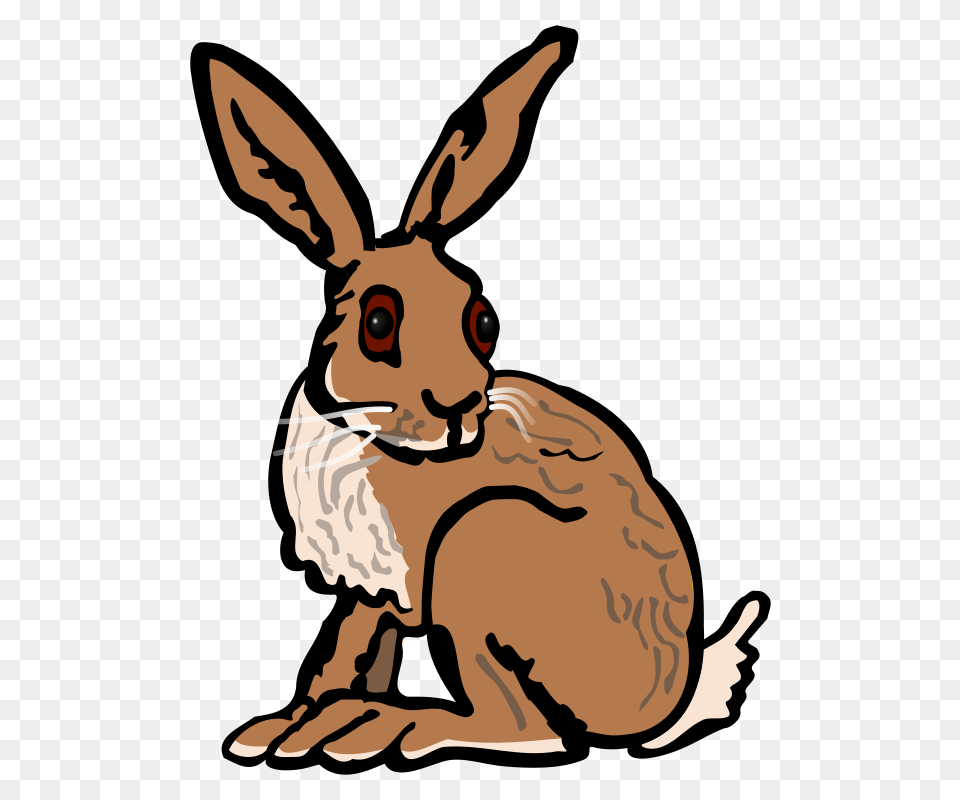 Collection Of Hares Clipart, Animal, Hare, Mammal, Rodent Free Transparent Png