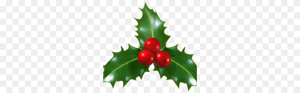 Collection Of Holly Clip Art Download Clipart, Food, Fruit, Leaf, Plant Free Png