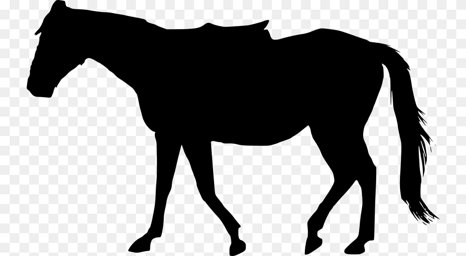 Collection Of Horse Silhouette Download Them And Try To Solve, Animal, Mammal, Colt Horse, Person Png