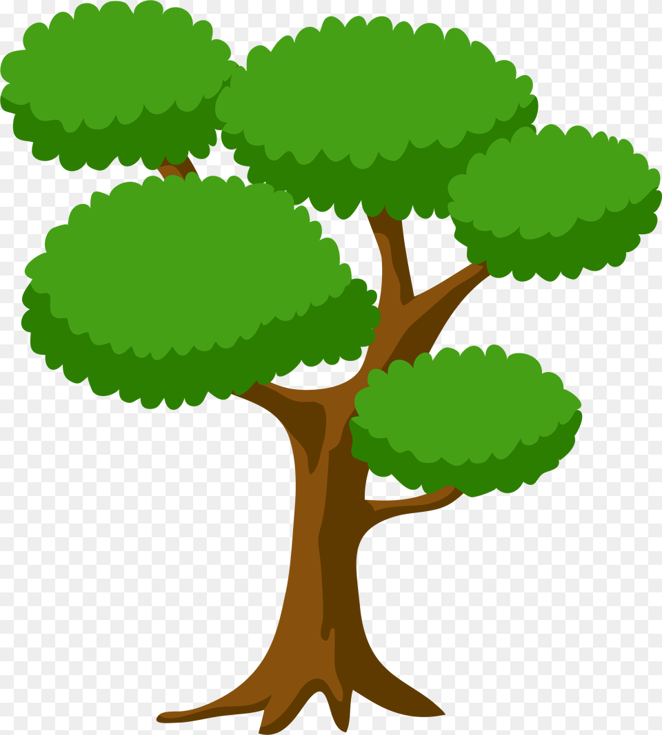 Collection Of Huge Tree Clipart, Plant, Potted Plant, Green, Vegetation Png Image