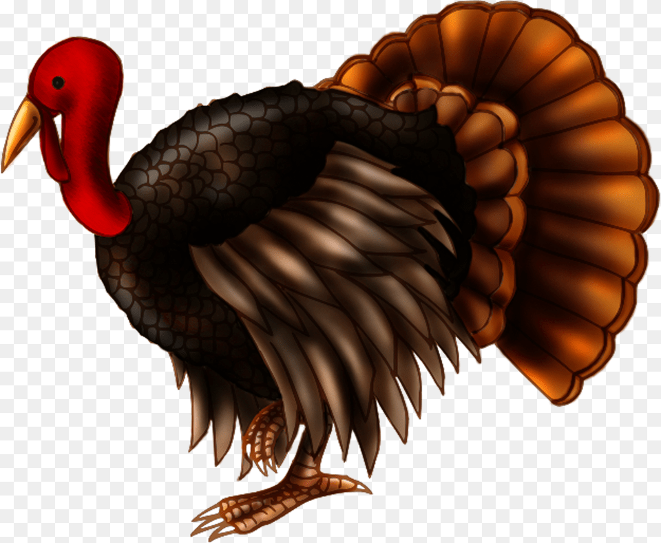 Collection Of Live Turkey Clipart Turkey Background, Animal, Beak, Bird Png Image