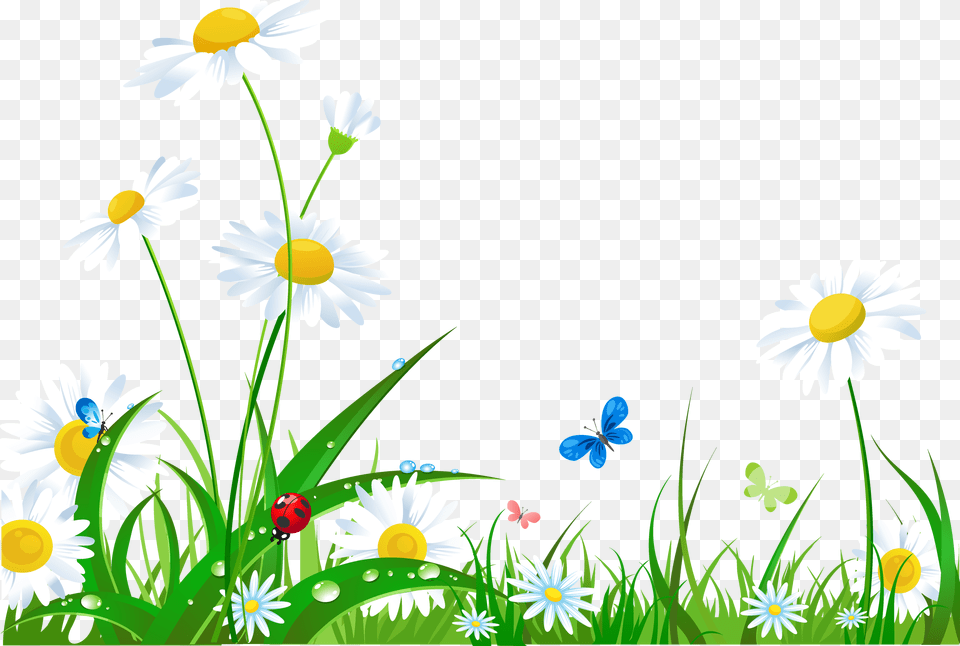 Collection Of Nature Background Clipart High Trava Cveti, Daisy, Flower, Plant, Grass Free Transparent Png