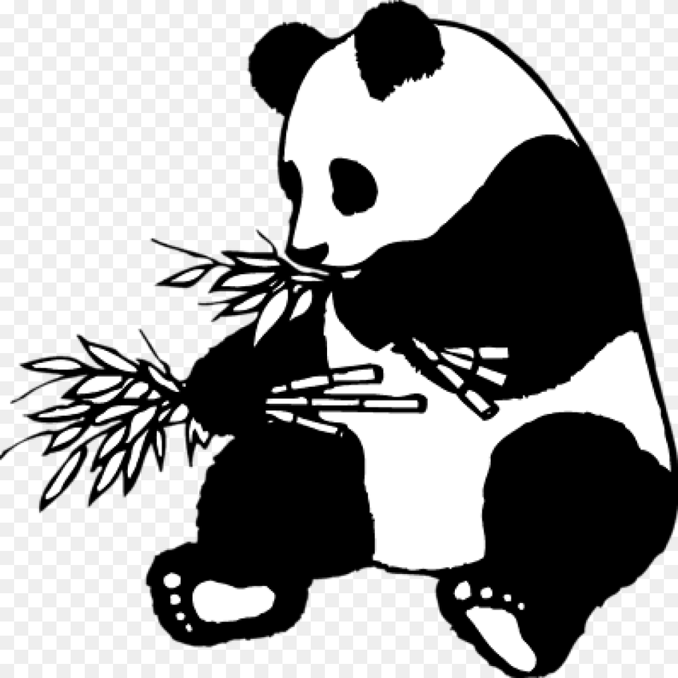 Collection Of Panda Clipart Black And White Panda Clipart Black And White, Stencil, Baby, Person Png