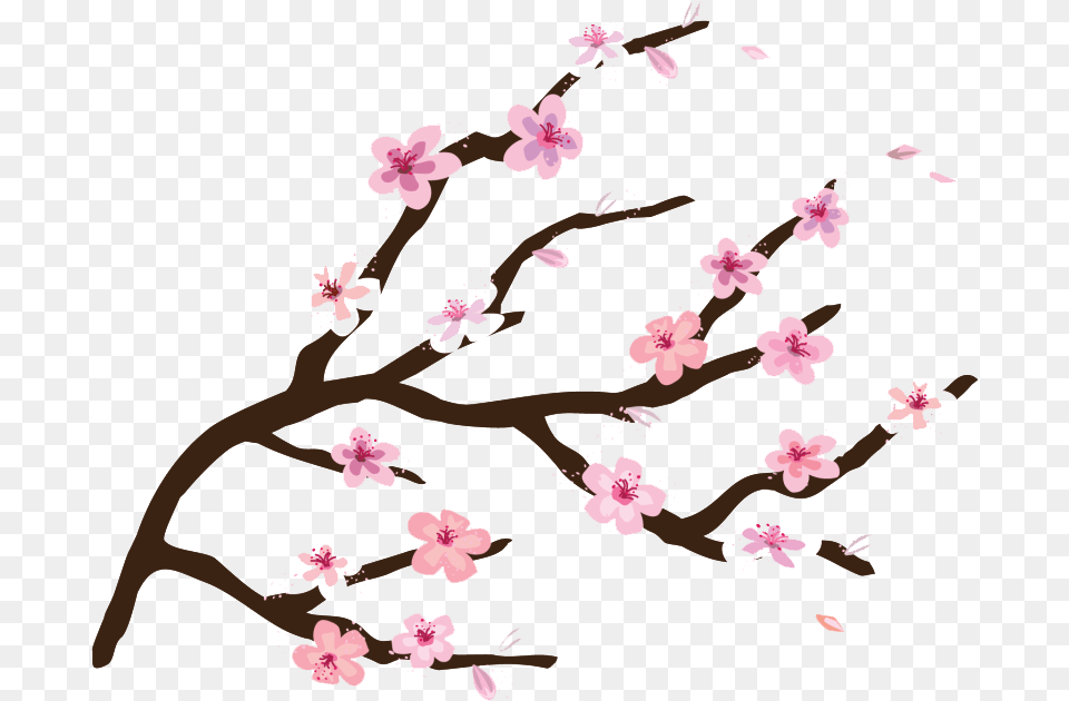 Collection Of Peach Blossom Images Easy Cherry Blossom Tree Clipart, Flower, Plant, Cherry Blossom, Person Free Png