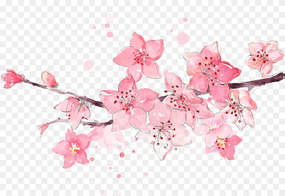Collection Of Peach Blossom Images Watercolor Cherry Blossoms, Flower, Plant, Cherry Blossom Free Png Download