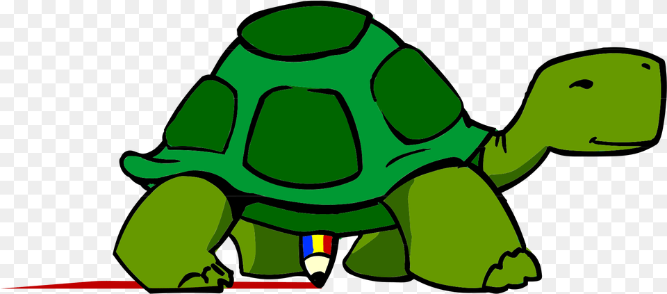 Collection Of Picture Of A Cartoon Turtle Tortoise Clipart, Animal, Green, Reptile, Sea Life Png
