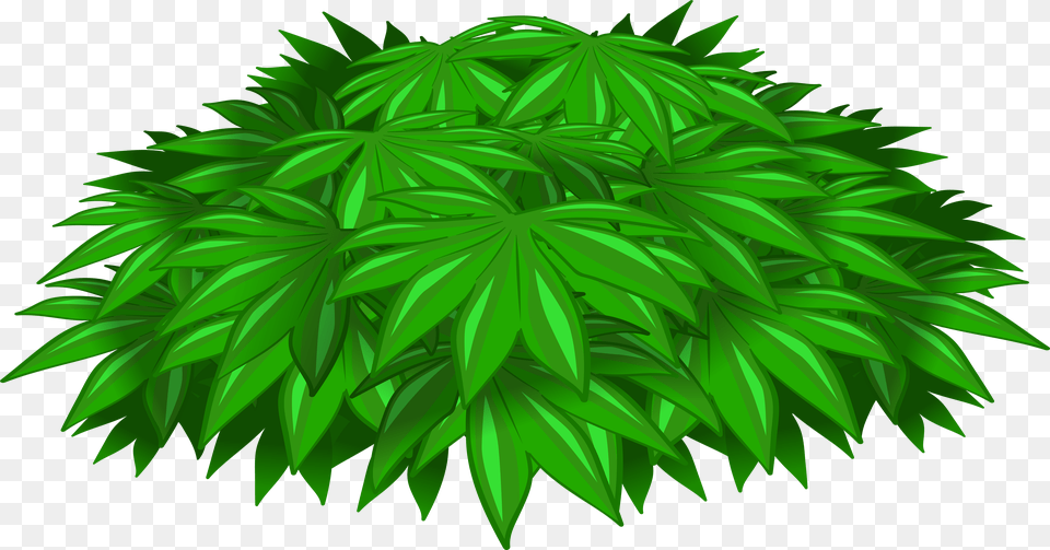 Collection Of Plant Illustration Free Transparent Png