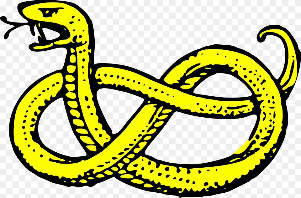 Collection Of Poisonous Coat Of Arms Symbols Snake, Animal, Reptile Png Image