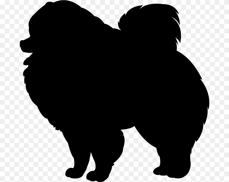 Collection Of Pomeranian Silhouette Clip Art Download Them, Animal, Bear, Mammal, Wildlife Png Image