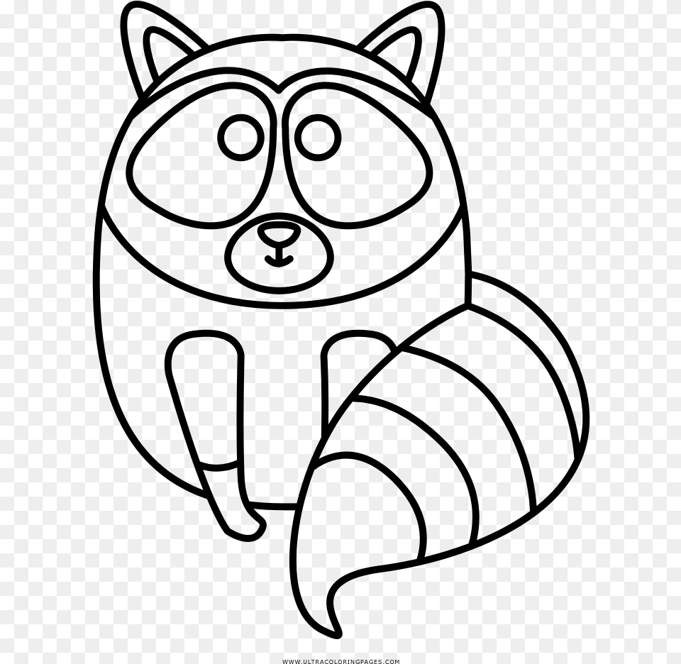 Collection Of Raccoon Drawing Easy Download On Line Art, Gray Png