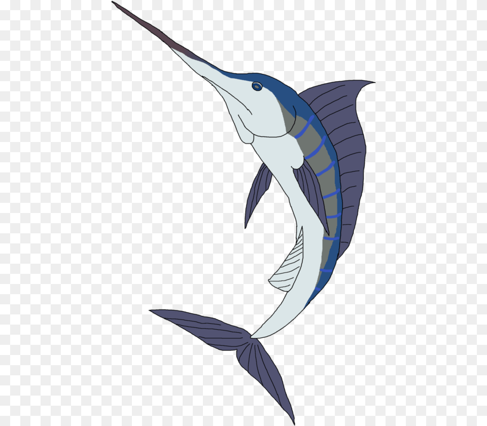 Collection Of Swordfish Drawing Blue Marlin Download Swordfish Easy Marlin Drawing, Animal, Fish, Sea Life, Person Free Png